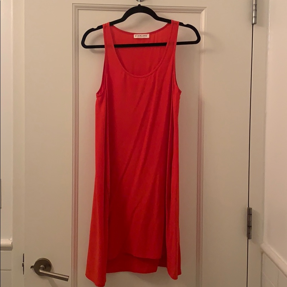 Everlane Persimmon Silk Tank Dress